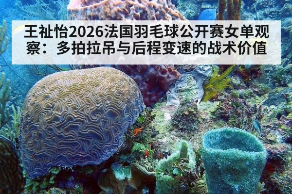 王祉怡2026法国羽毛球公开赛女单观察：多拍拉吊与后程变速的战术价值